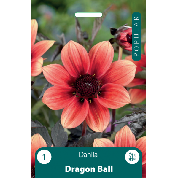 Daaliad DRAGON BALL