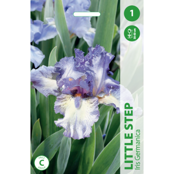 IIRIS LITTLE STEP