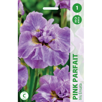 IIRIS PINK PARFAIT