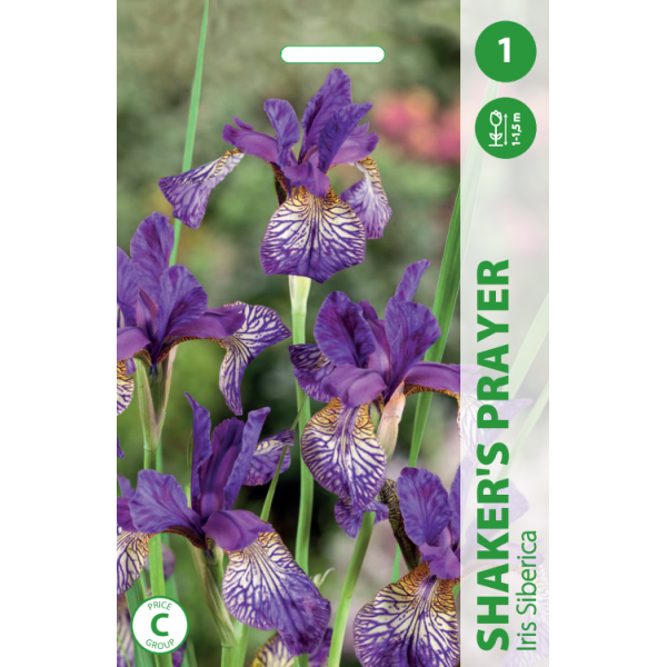 Луковицы цветов