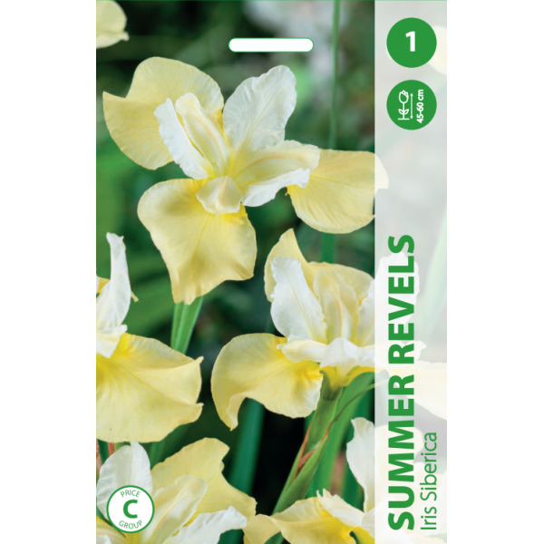 Iris SUMMER REVELS