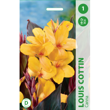 Луковицы цветов