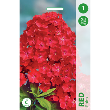 PHLOX RED