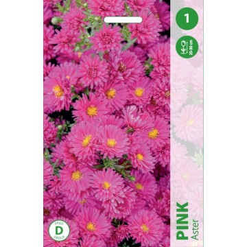 ASTER PINK