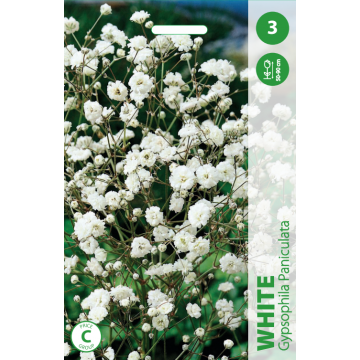 Pööris-kipslill WHITE