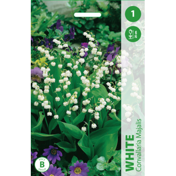 Convallaria Majalis