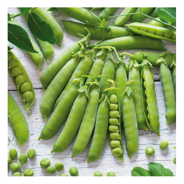 APVALIEJI ŽIRNIAI KLEINE RHEINLANDERIN 500g