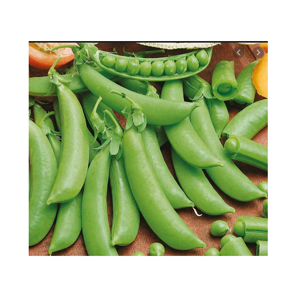 Harilik hernes AMBROSIA 500g