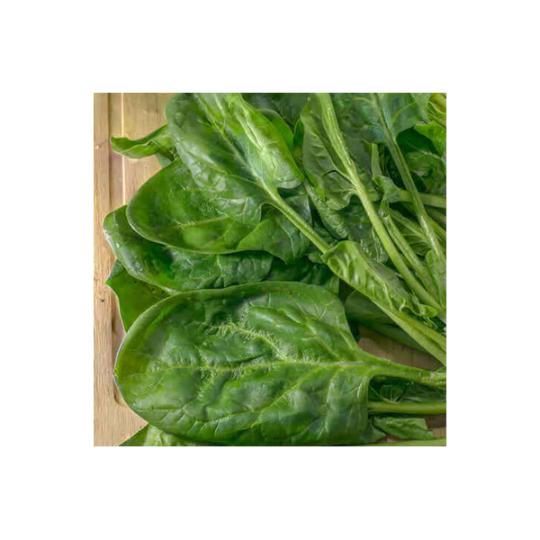 ОВОЩНОЙ ШПИНАТ MATADOR 500g