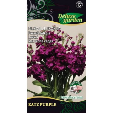 Маттиола седая Katz Purple