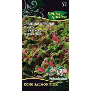 Колеус Блюма Kong Salmon Pink