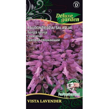 Leeksalvei Vista Lavender