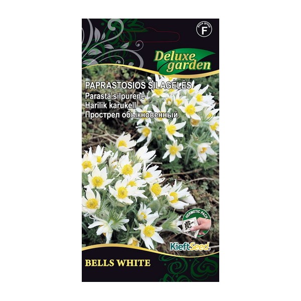 Harilik karukell Bells White