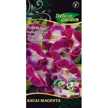 Toreenia Kauai Magenta