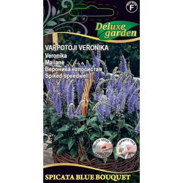 Mailane Spicata Blue Bouquet