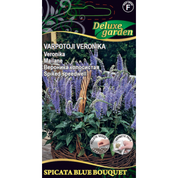 Veronika Spicata Blue Bouquet