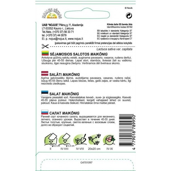 SEEMNETEST KASVATATAV LEHTSALAT MONA