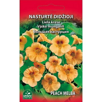 NASTURTĖ DIDŽIOJI PEACH MELBA