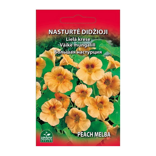 NASTURTĖ DIDŽIOJI PEACH MELBA