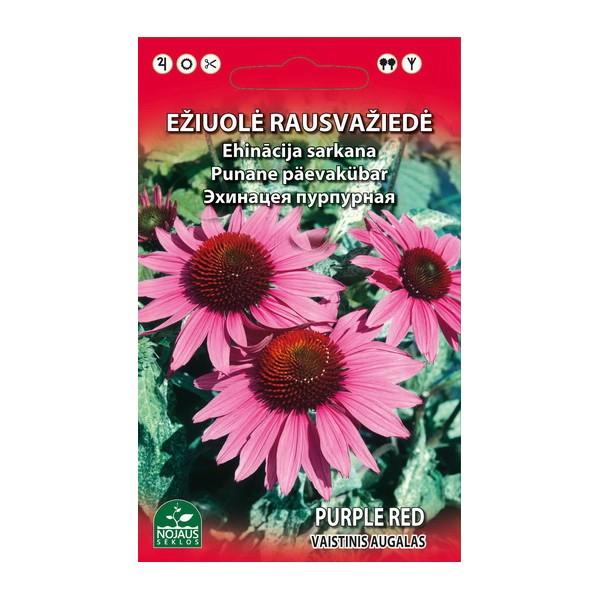 Punane päevakübar