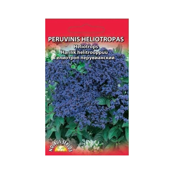 PERUVINIS HELIOTROPAS