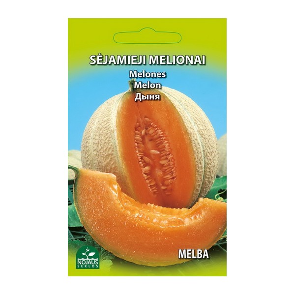 Melon Melba
