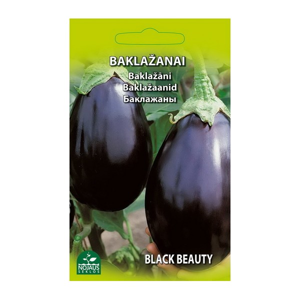 Baklažaan BLACK BEAUTY 1g