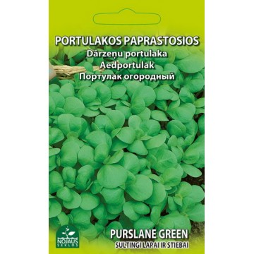 Aedportulak Purslane Green