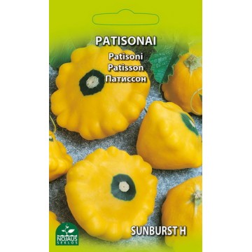 Patisson Sunburst H