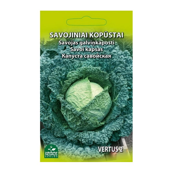 Savoi kapsas Vertus 2