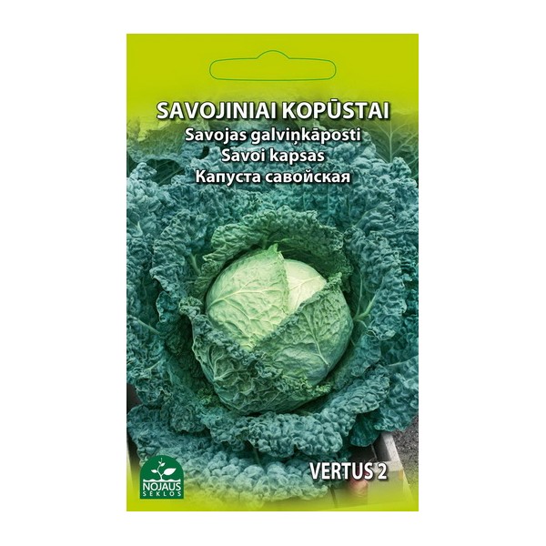 Савойская капуста кочанная Vertus 2