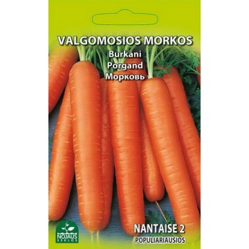Морковь Nantaise 2