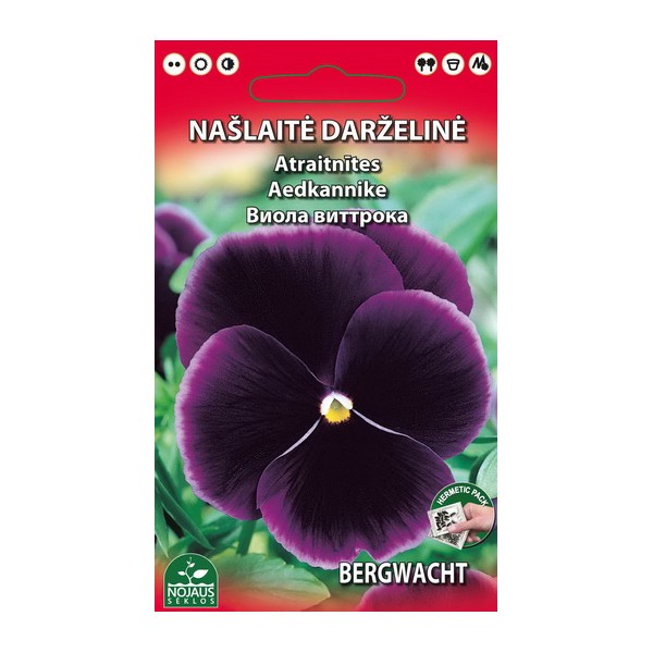 NAŠLAITĖ TIKROJI (VIOLETINĖ)