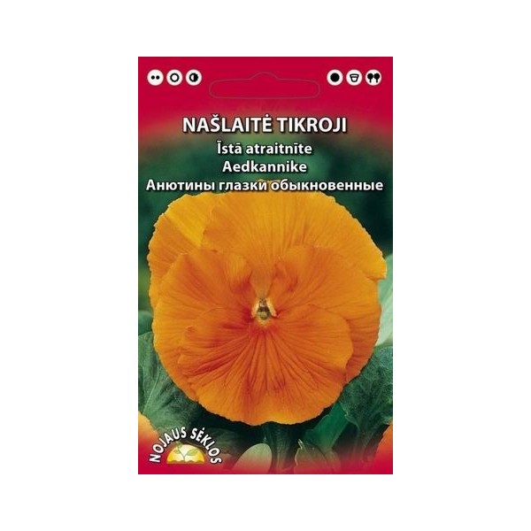 NAŠLAITĖ TIKROJI (ORANŽINĖ)