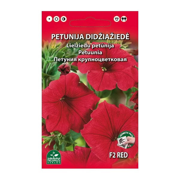 PETUNIJA STAMBIAŽIEDĖ (RAUDONA)