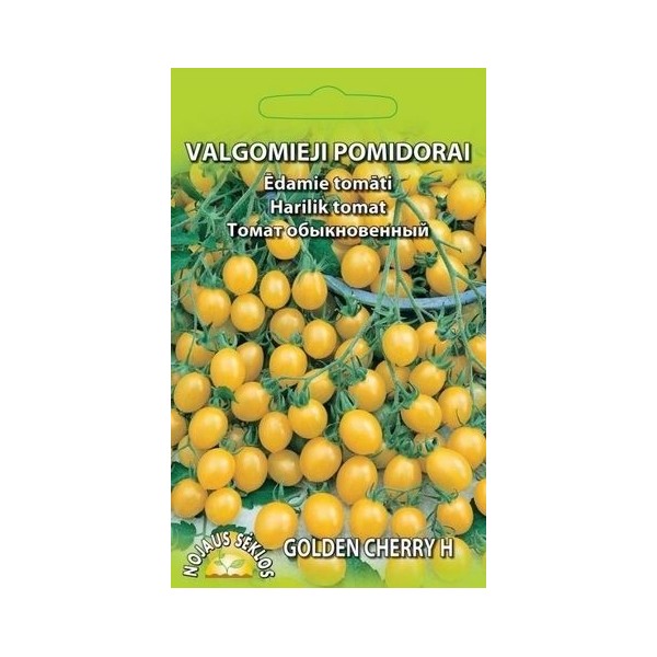 Томат обыкновенный Golden Cherry H