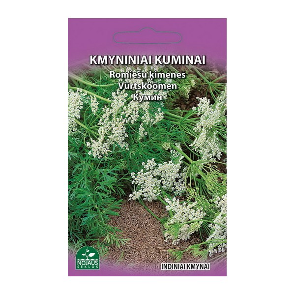 KMYNINIS KUMINAS