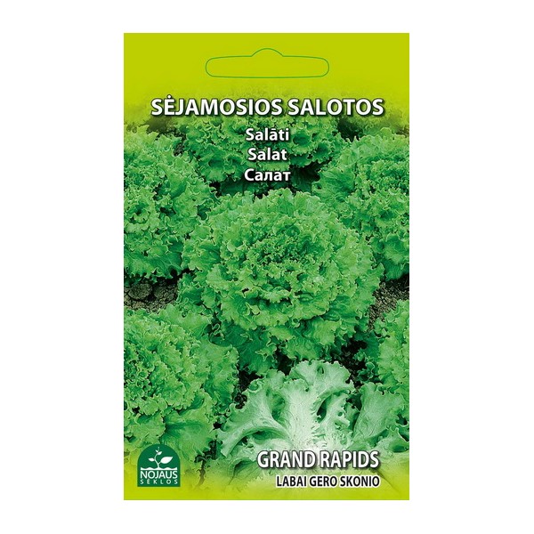Salat Grand Rapids