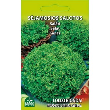 Salat May Lollo Bionda