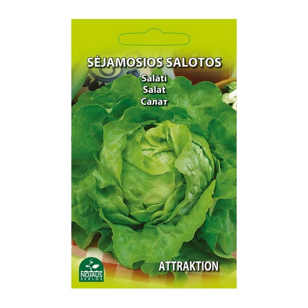 Salat