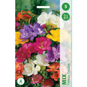 Freesia Double MIX