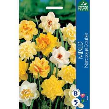 NARCISSUS DOUBLE, MIX