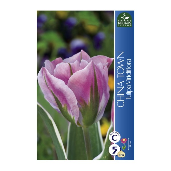 TULP CHINA TOWN