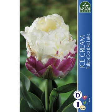 Tulp ICE CREAM