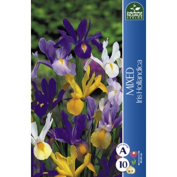 IIRIS MIX