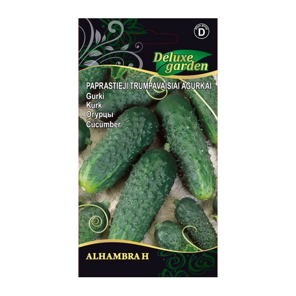 Kurgid Alhambra H