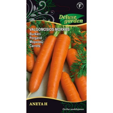 Морковь Aneta H