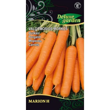 Морковь Marion H