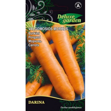 Морковь Darina