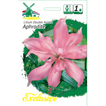 Луковицы цветов